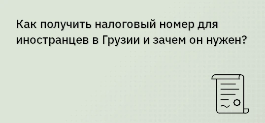 Как получить налоговый номер для иностранцев в Грузии и зачем он нужен?