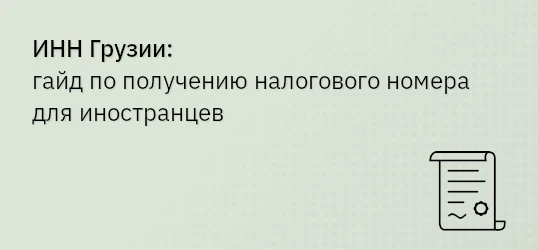 ИНН Грузии: гайд по получению налогового номера для иностранцев